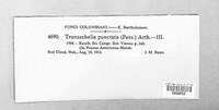 Tranzschelia discolor image
